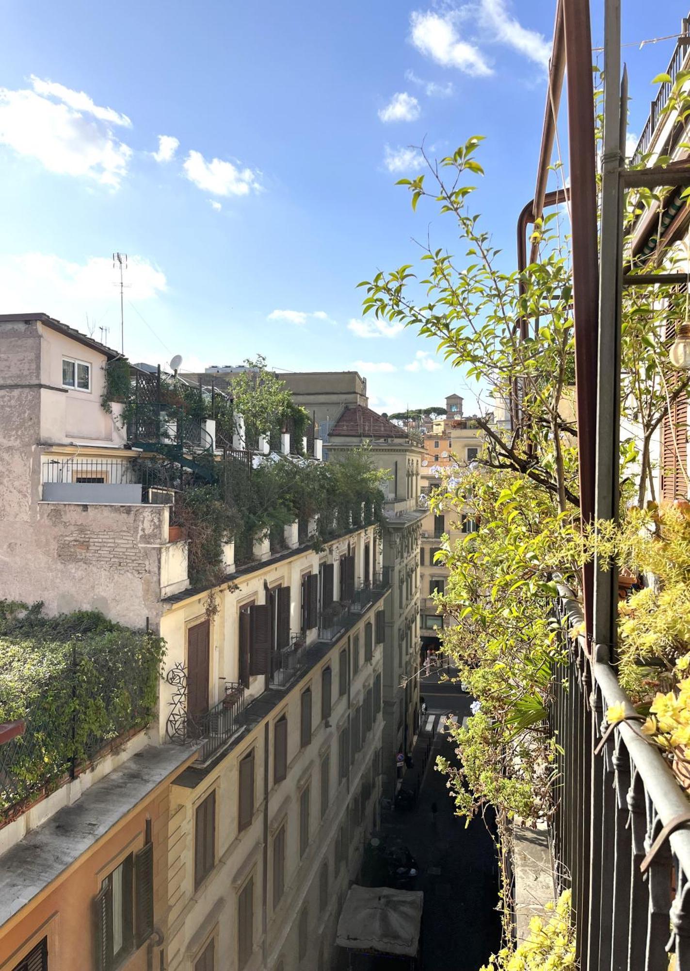 Trevi Over The Appartement